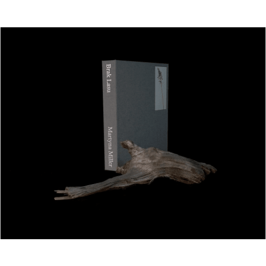 Brak Lasu -zdjęcie numer 1