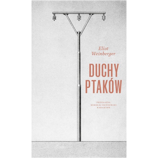 Duchy ptaków