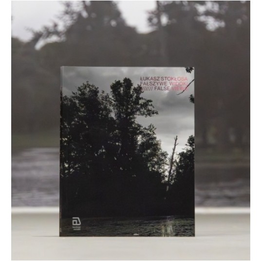 Fałszywe widoki -zdjęcie numer 1