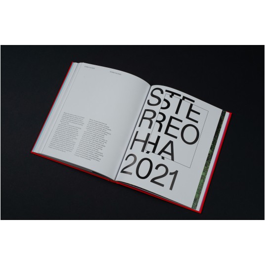 Igor Omulecki, Works 2012-2021
