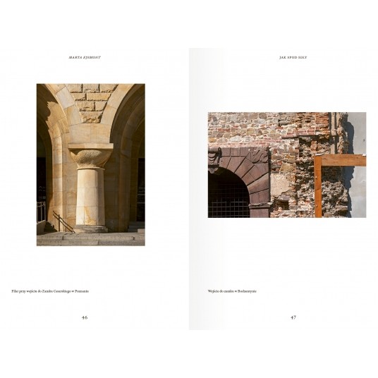 Ostatni zamek. Zamczystość polska: od Wawelu do Stobnicy -zdjęcie numer 3