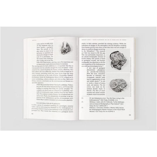 Plasticity of the Planet: On Environmental Challenge for Art and Its Institutions
