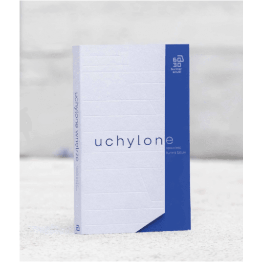 Uchylone wnętrze. Literacka opowieść o kolekcji Bunkra Sztuki -zdjęcie numer 1