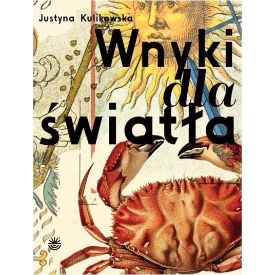 Wnyki dla światła -zdjęcie numer 1