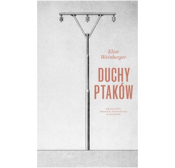 Duchy ptaków